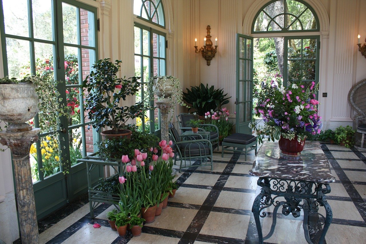 indoor flowers plants